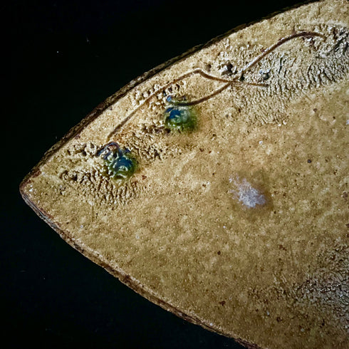 黄瀬戸ひし形皿